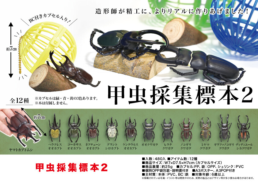 エール 甲虫採集標本2 12種 各個の商品ページ 卸 仕入れサイト スーパーデリバリー
