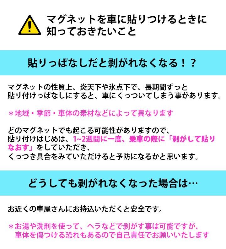 ドライブレコーダー搭載ステッカー うさぎとビデオカメラ Square Type マグネット の商品ページ 卸 仕入れサイト スーパーデリバリー