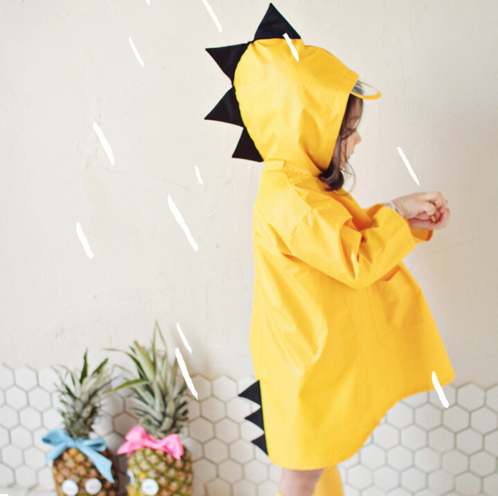 rainwear raincoat