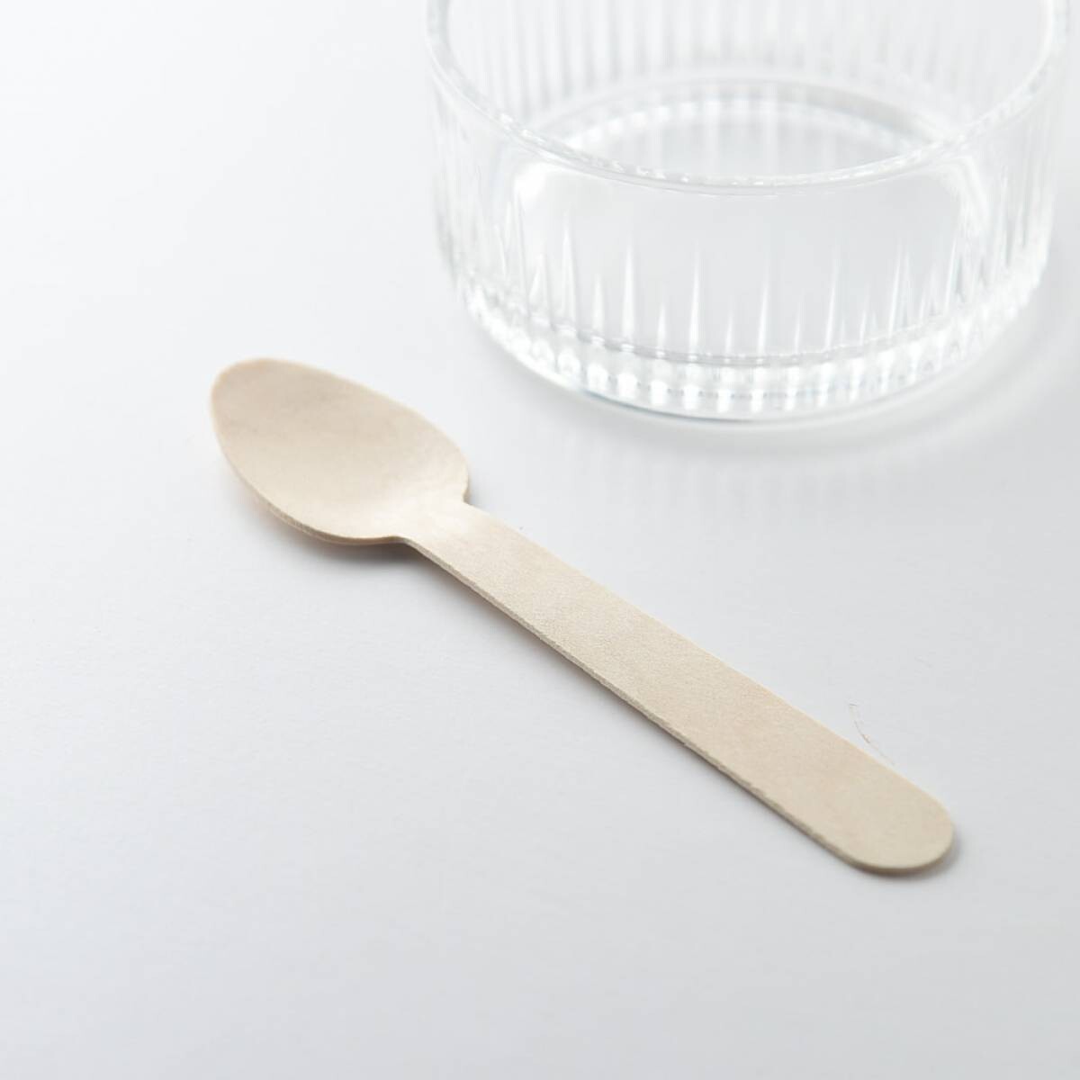 disposable plates wholesale