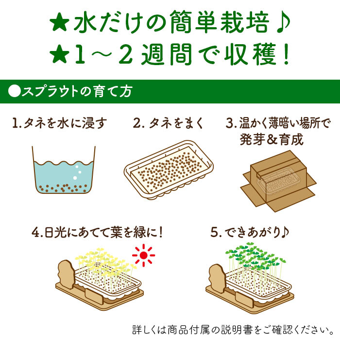 スプラウト栽培キット ミッフィー かいわれ大根 の商品ページ 卸 仕入れサイト スーパーデリバリー