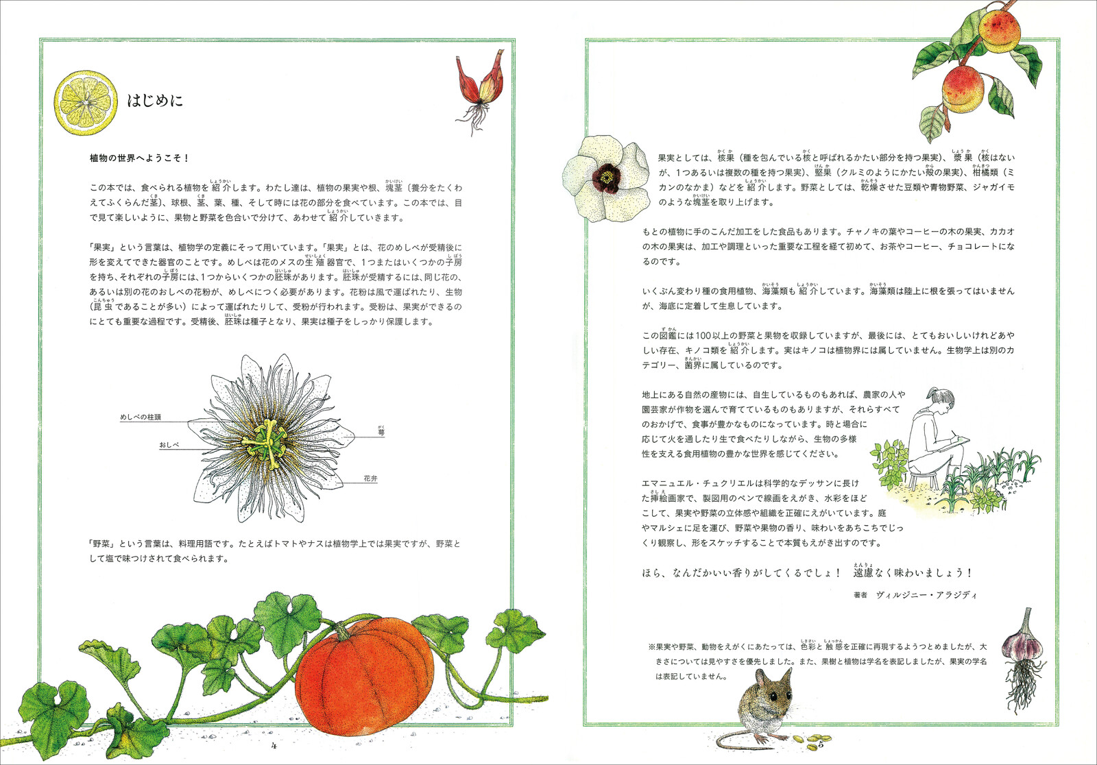 Fun Illustration Nature Vegetables Fruit Import Japanese Products At Wholesale Prices Super Delivery Fun Illustration Nature Vegetables Fruit Import Japanese Products At Wholesale Prices Super Delivery