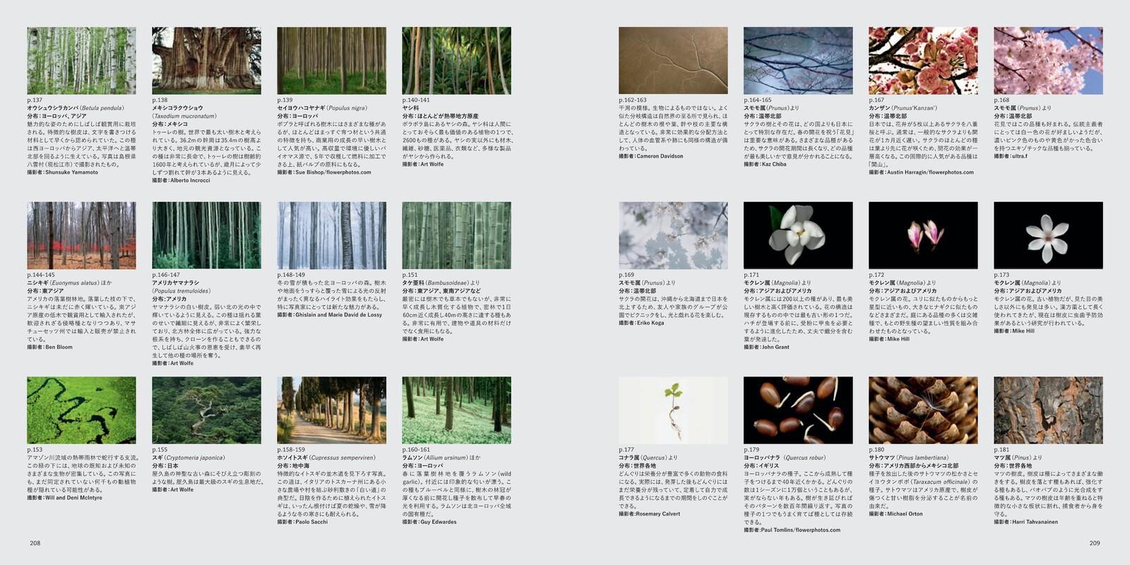 Visual Dictionaries Import Japanese Products At Wholesale Prices Super Delivery