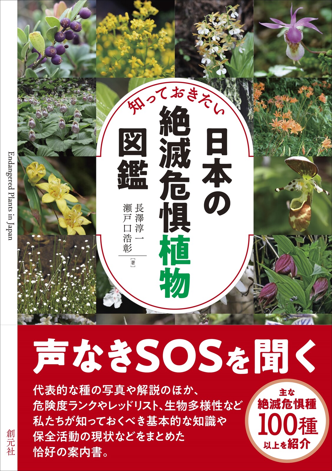 知っておきたい日本の絶滅危惧植物図鑑の商品ページ 卸 仕入れサイト スーパーデリバリー