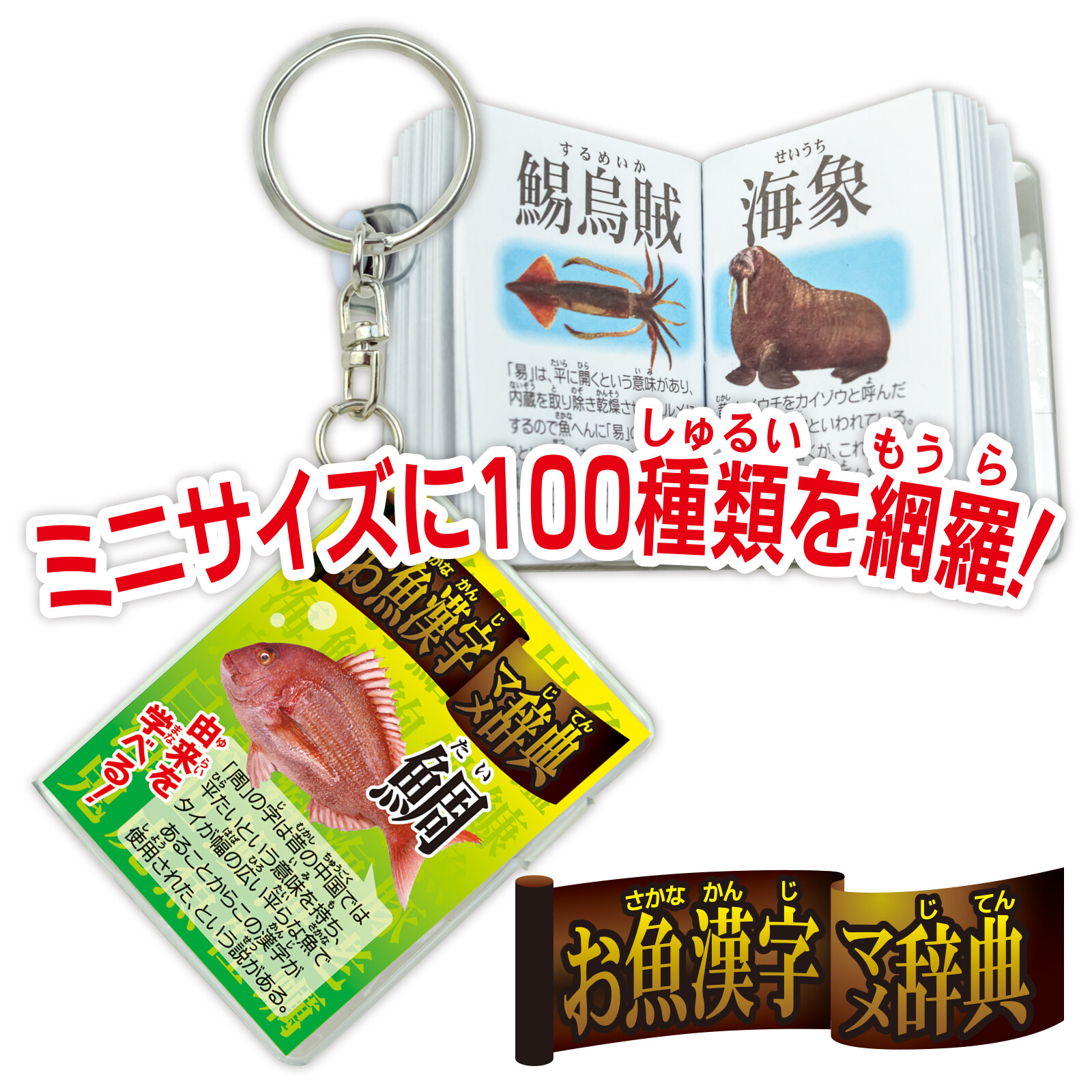 お魚漢字 マメ辞典の商品ページ 卸 仕入れサイト スーパーデリバリー