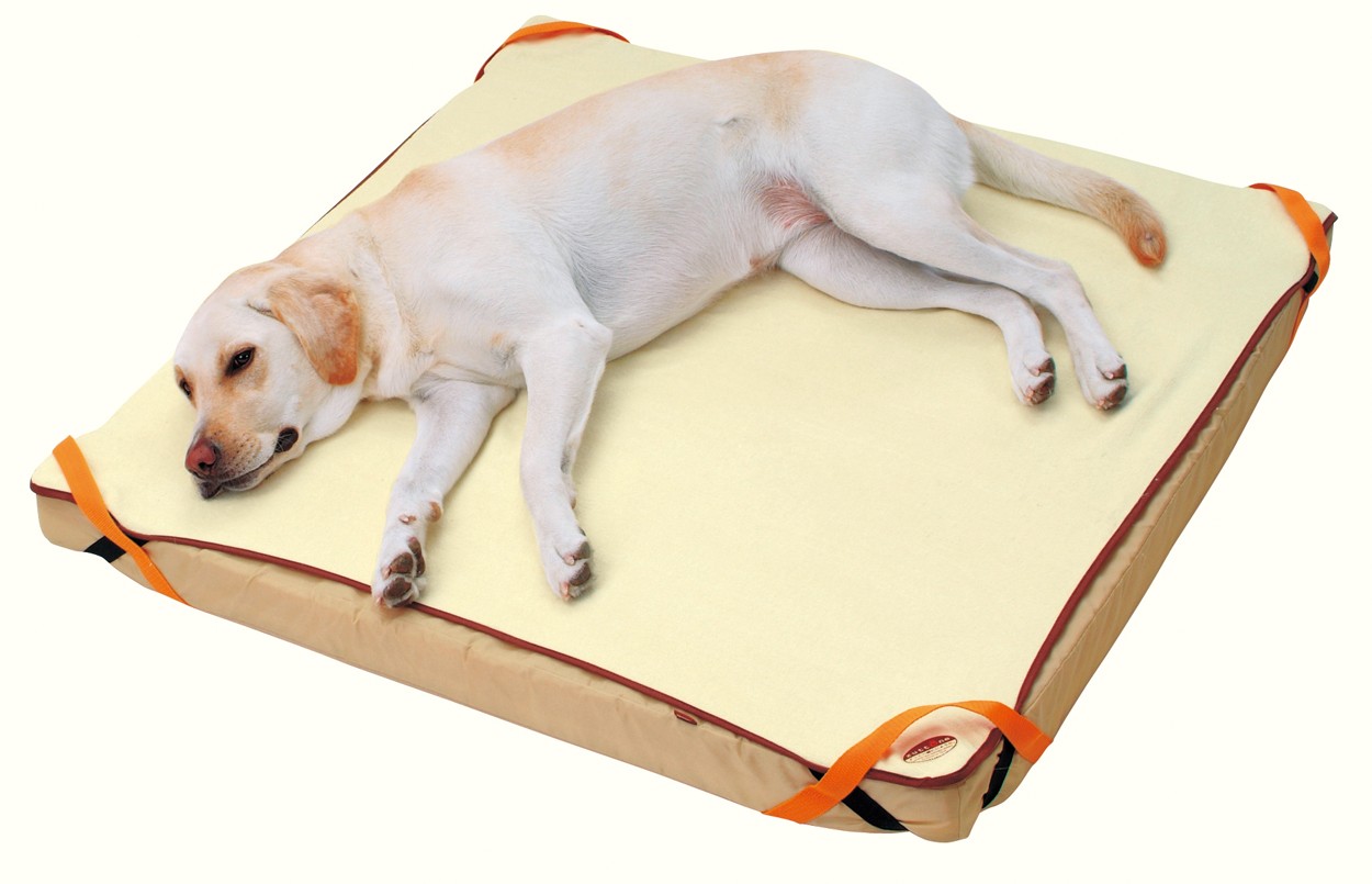 ペティオ Zuttone ずっとね 老犬介護用 床ずれ予防ベッド 大型犬用の商品ページ 卸 仕入れサイト スーパーデリバリー ペティオ Zuttone ずっとね 老犬介護用 床ずれ予防ベッド 大型犬用の商品ページ 卸 仕入れサイト スーパーデリバリー