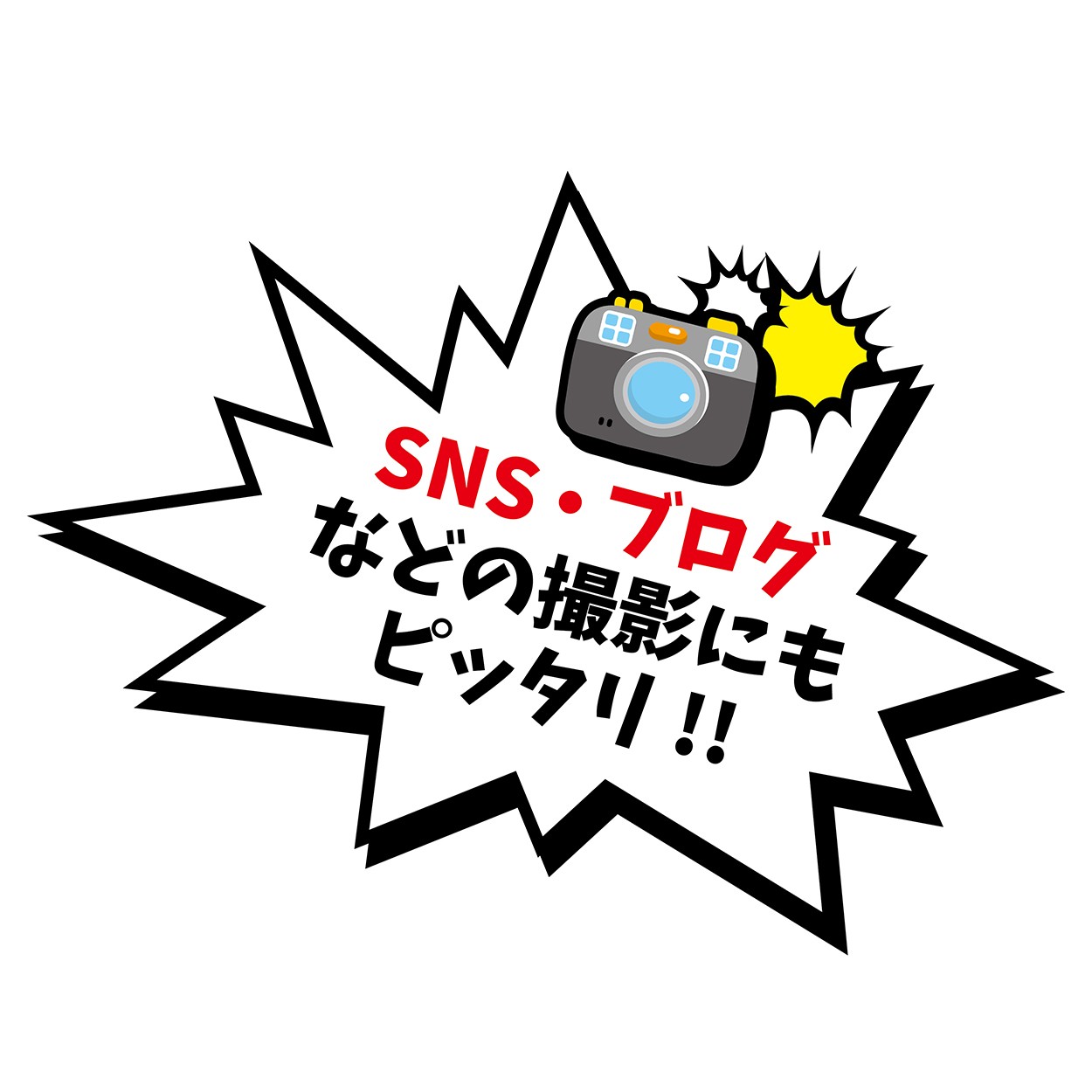 ペティオ ドラゴンボール なりきりウェア 亀仙流道着 Mの商品ページ 卸 仕入れサイト スーパーデリバリー