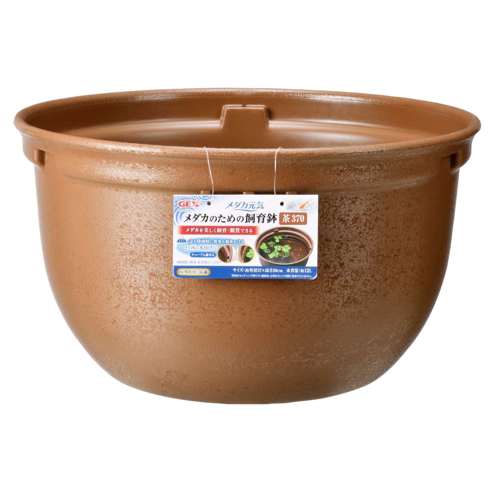 Killifish Fine Killifish Bowl Import Japanese Products At Wholesale Prices Super Delivery Killifish Fine Killifish Bowl Import Japanese Products At Wholesale Prices Super Delivery