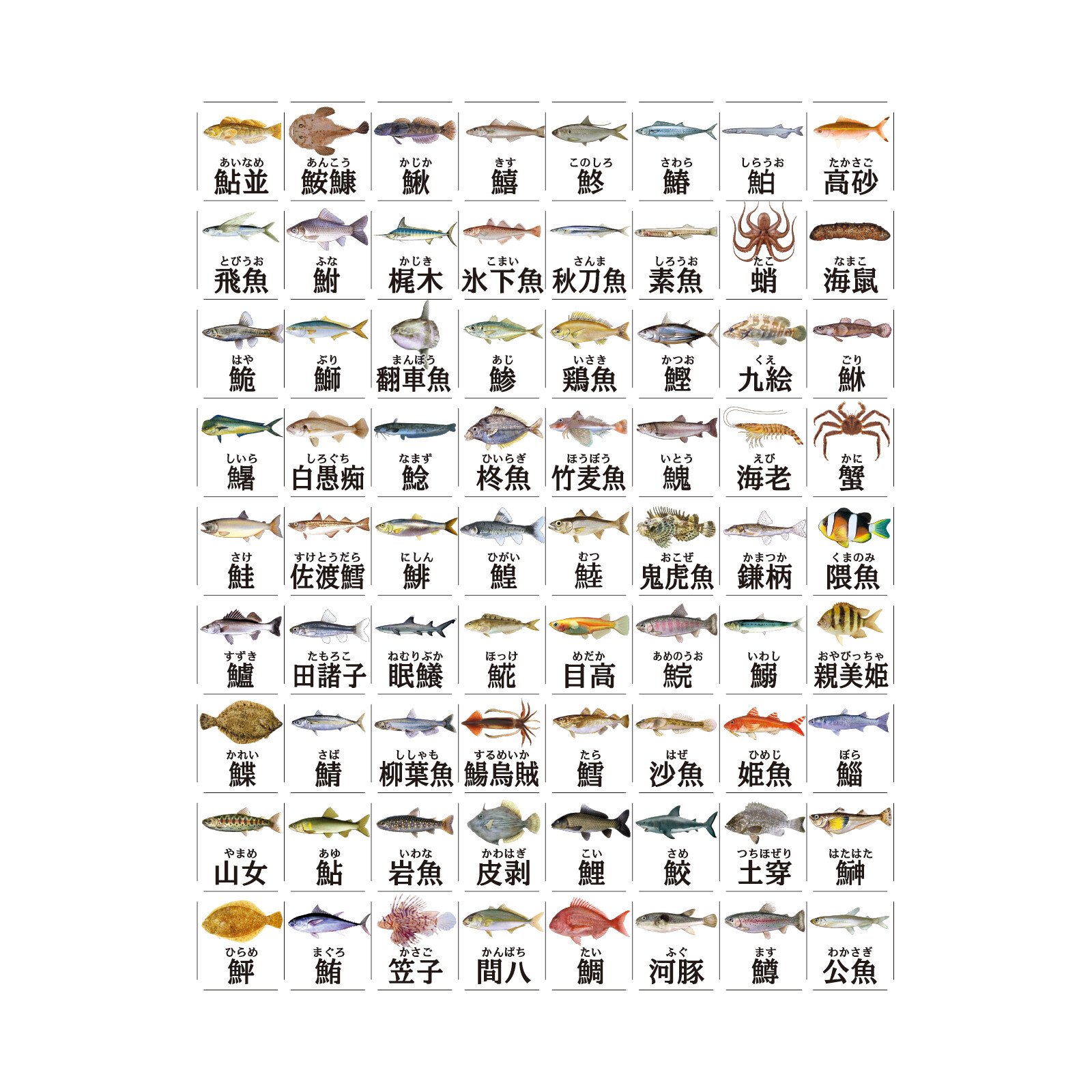 大全tシャツお魚漢字の商品ページ 卸 仕入れサイト スーパーデリバリー