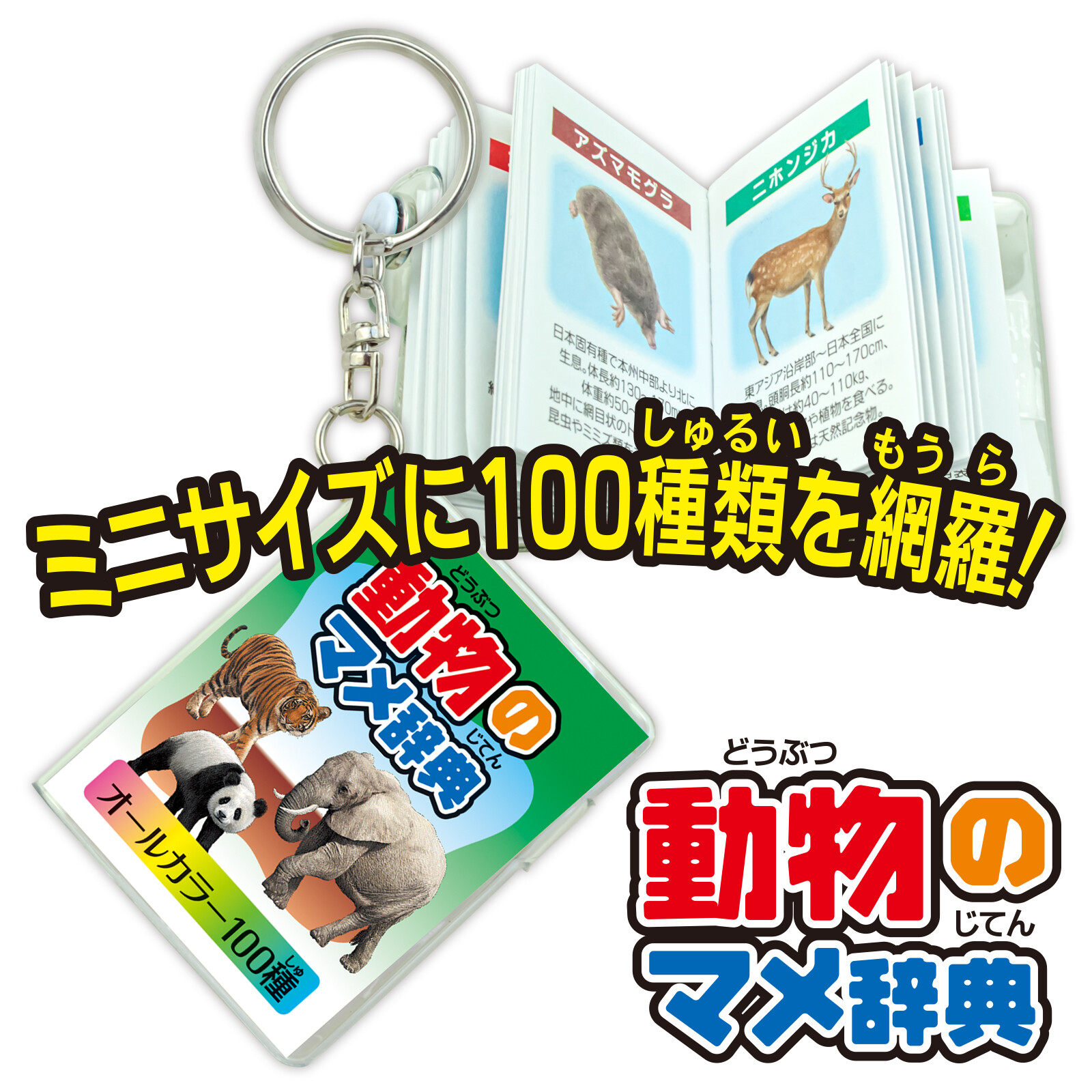 動物のマメ辞典の商品ページ 卸 仕入れサイト スーパーデリバリー