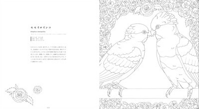 ぬりえ図鑑 美しい鳥の商品ページ 卸 仕入れサイト スーパーデリバリー ぬりえ図鑑 美しい鳥の商品ページ 卸 仕入れサイト スーパーデリバリー