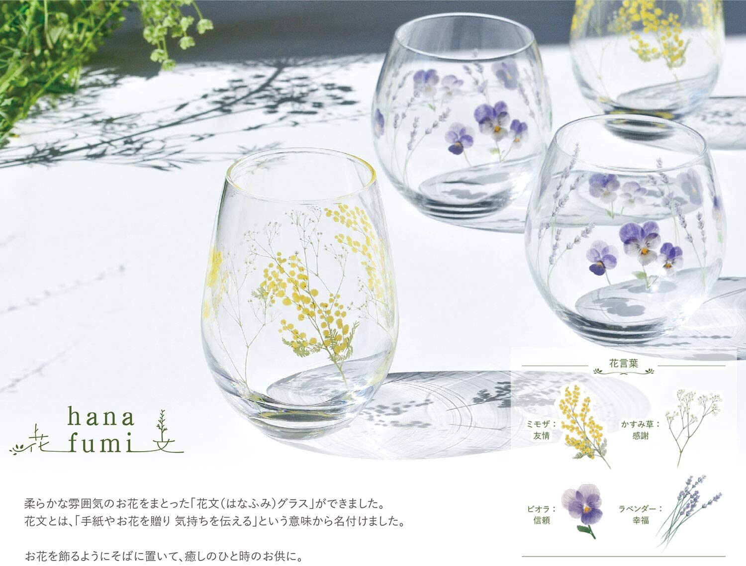 Hanafumi Tumbler Mimoza Made In Japan Glass Import Japanese Products At Wholesale Prices Super Delivery