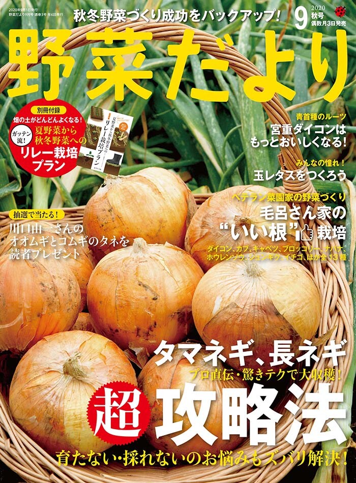 Vegetables Export Japanese Products To The World At Wholesale Prices Super Delivery