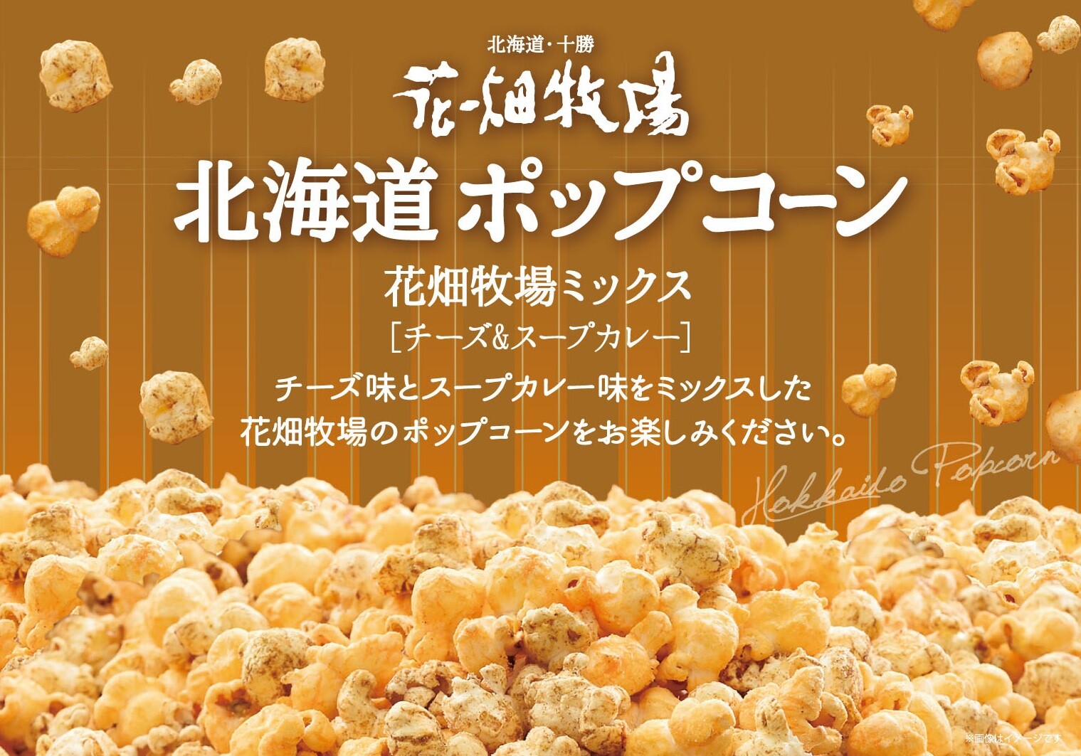 花畑牧場 北海道ポップコーン チーズ スープカレー27gの商品ページ 卸 仕入れサイト スーパーデリバリー