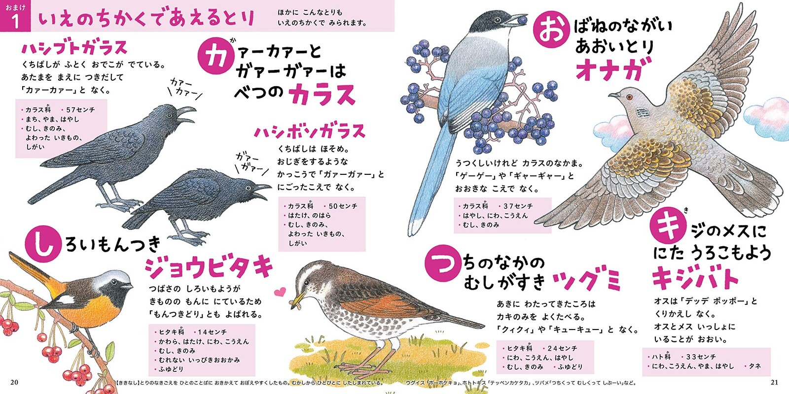 Animal Book Import Japanese Products At Wholesale Prices Super Delivery Animal Book Import Japanese Products At Wholesale Prices Super Delivery