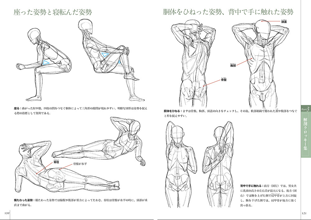 Art Design Book Import Japanese Products At Wholesale Prices Super Delivery Art Design Book Import Japanese Products At Wholesale Prices Super Delivery