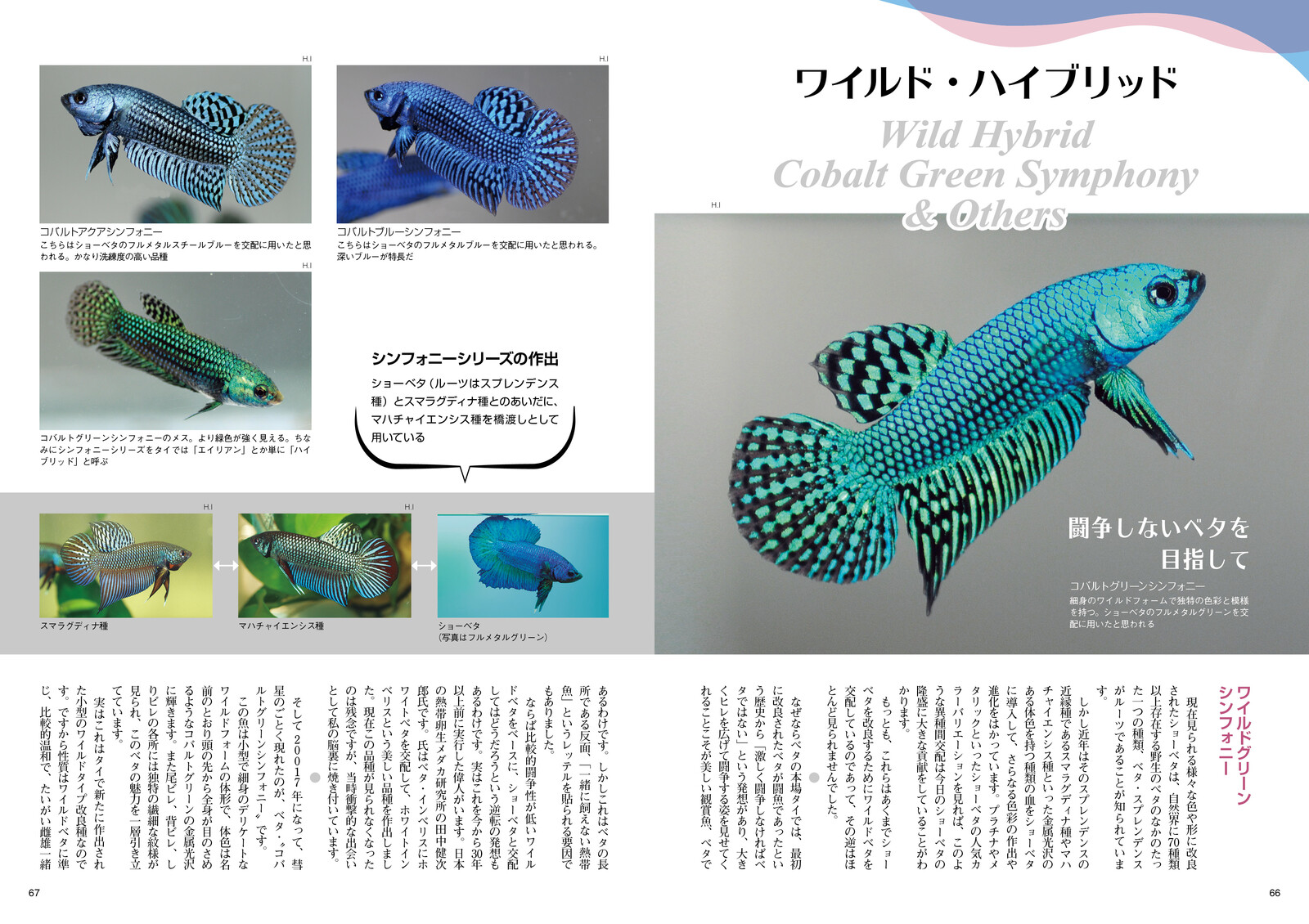 All Of Betta Import Japanese Products At Wholesale Prices Super Delivery