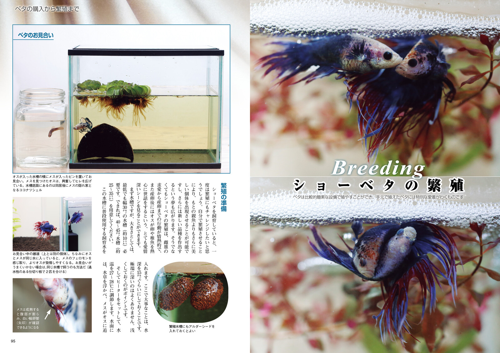 ベタのすべての商品ページ 卸 仕入れサイト スーパーデリバリー ベタのすべての商品ページ 卸 仕入れサイト スーパーデリバリー