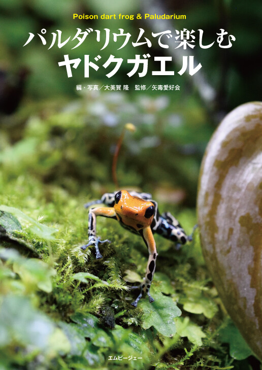 パルダリウムで楽しむヤドクガエルの商品ページ 卸 仕入れサイト スーパーデリバリー パルダリウムで楽しむヤドクガエルの商品ページ 卸 仕入れサイト スーパーデリバリー