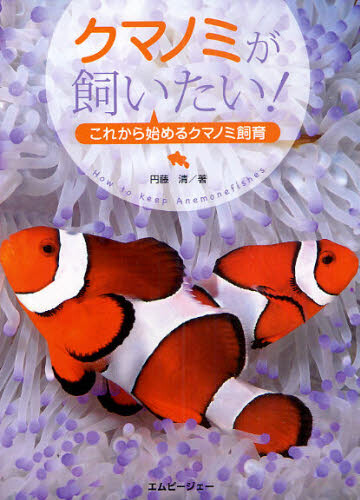 I Want To Keep Anemone Fish Import Japanese Products At Wholesale Prices Super Delivery