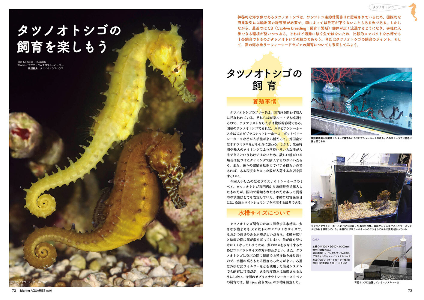 Animal Book Import Japanese Products At Wholesale Prices Super Delivery