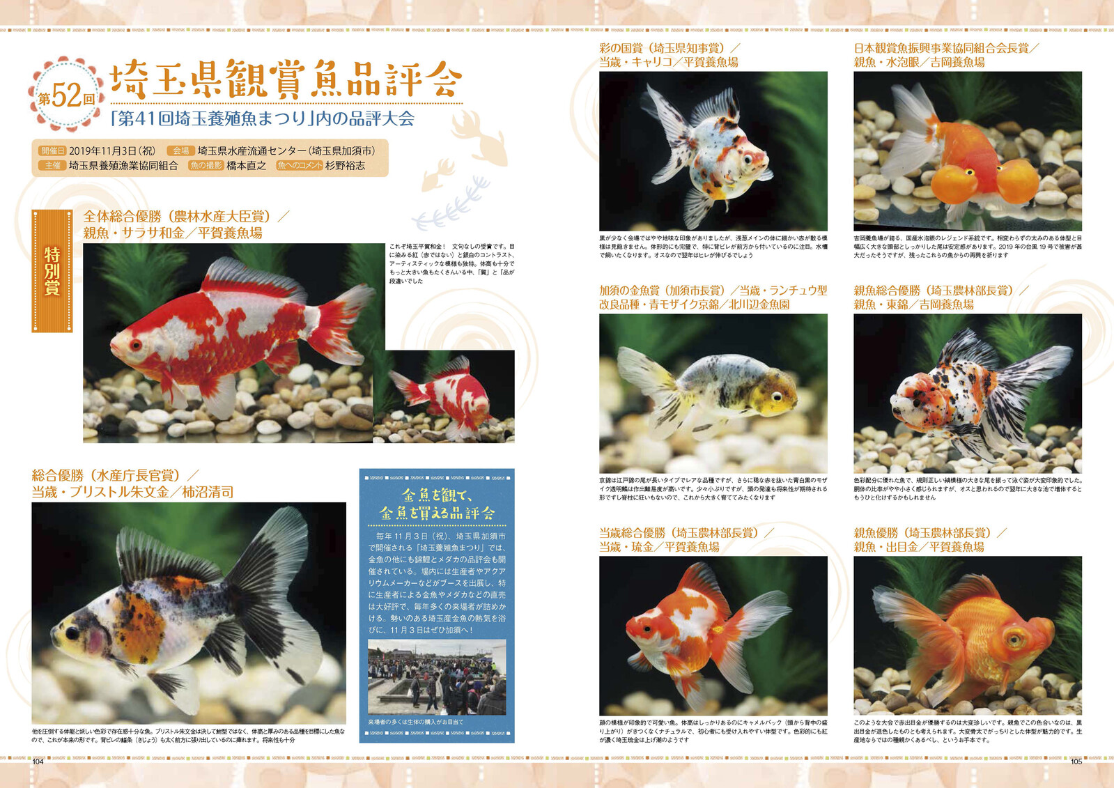 Animal Book Import Japanese Products At Wholesale Prices Super Delivery