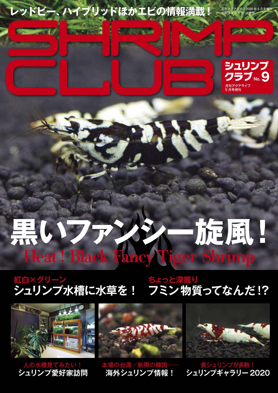 Shrimp Club No 9 Import Japanese Products At Wholesale Prices Super Delivery Shrimp Club No 9 Import Japanese Products At Wholesale Prices Super Delivery