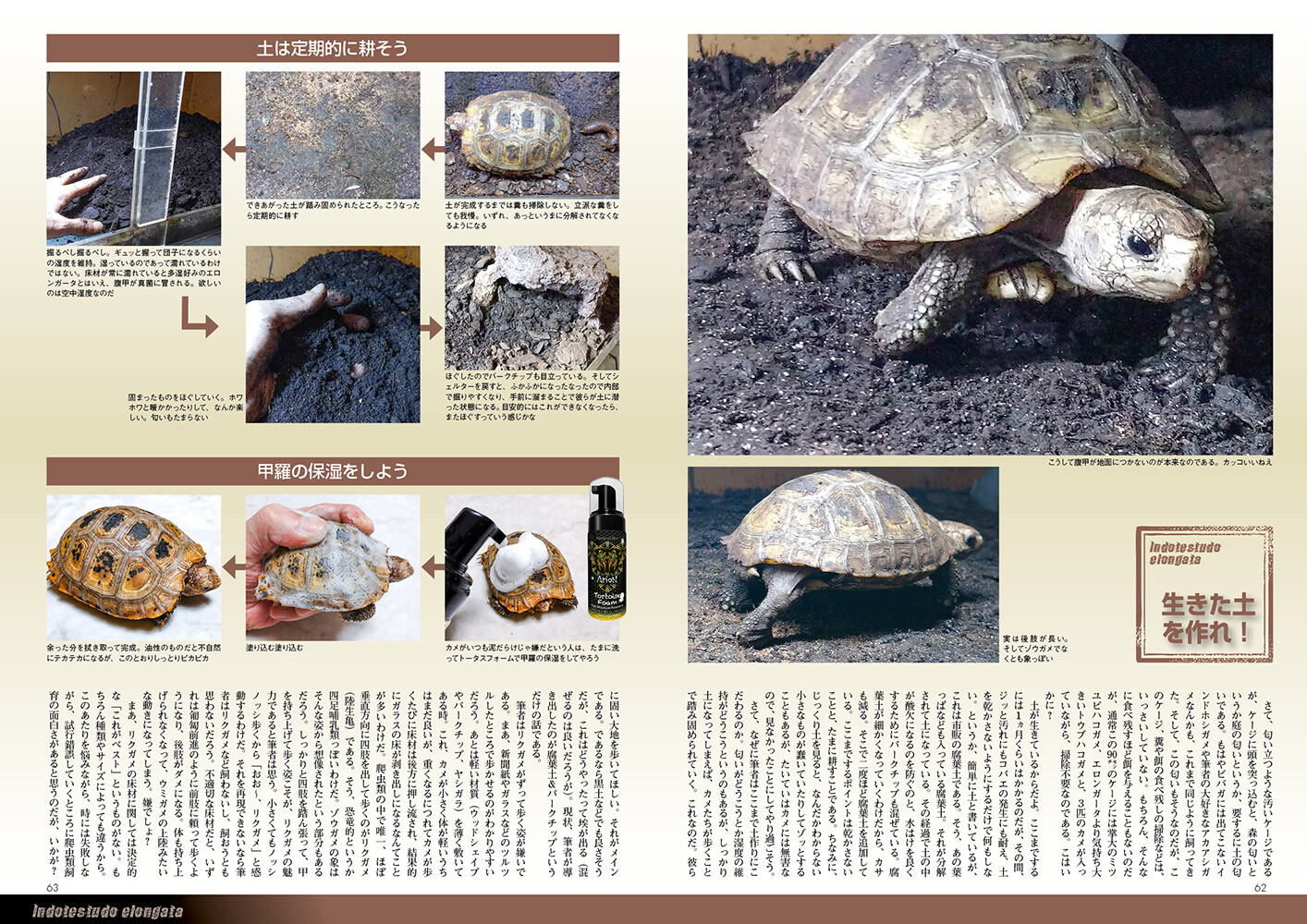 Animal Book Import Japanese Products At Wholesale Prices Super Delivery