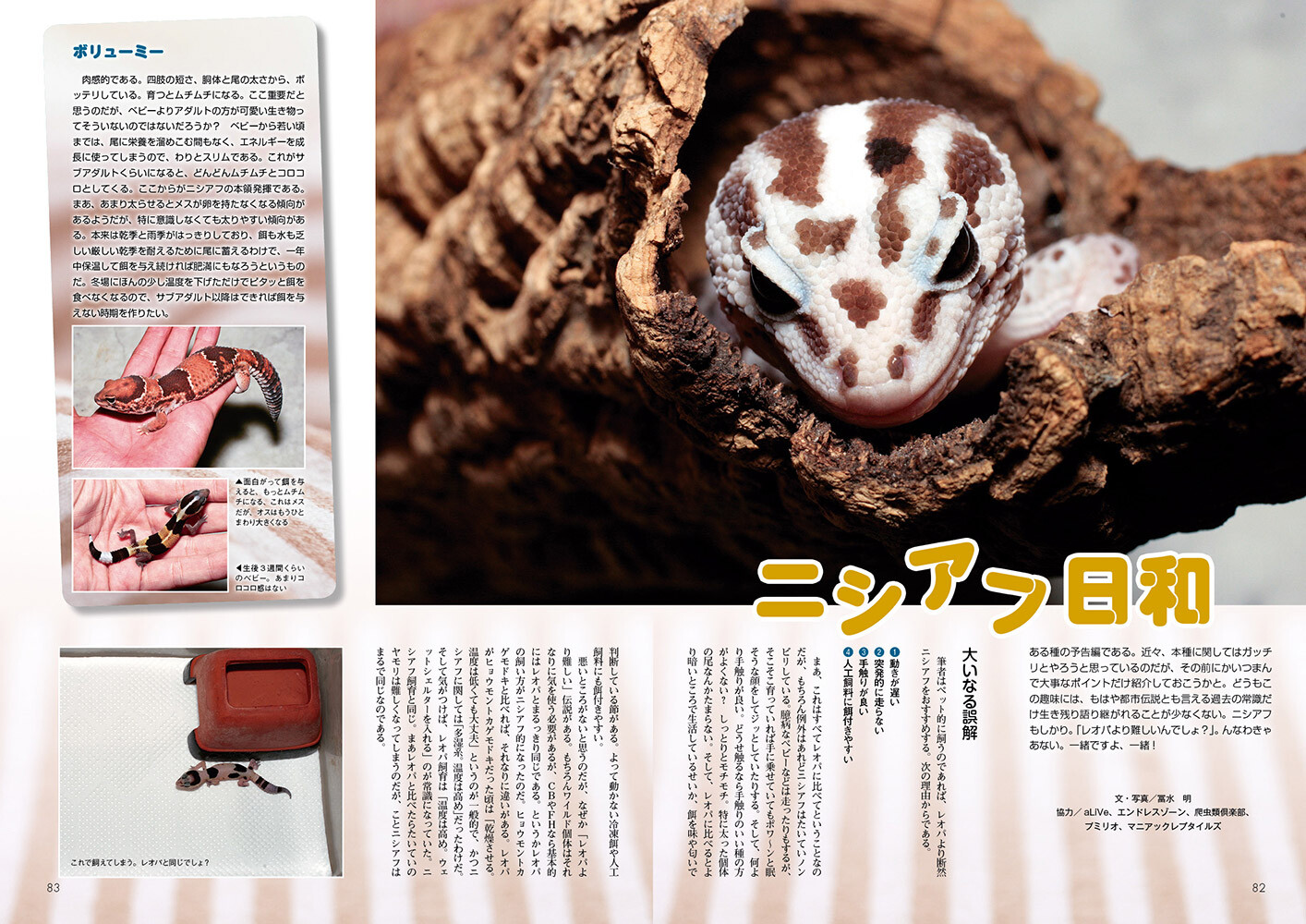 Animal Book Import Japanese Products At Wholesale Prices Super Delivery Animal Book Import Japanese Products At Wholesale Prices Super Delivery