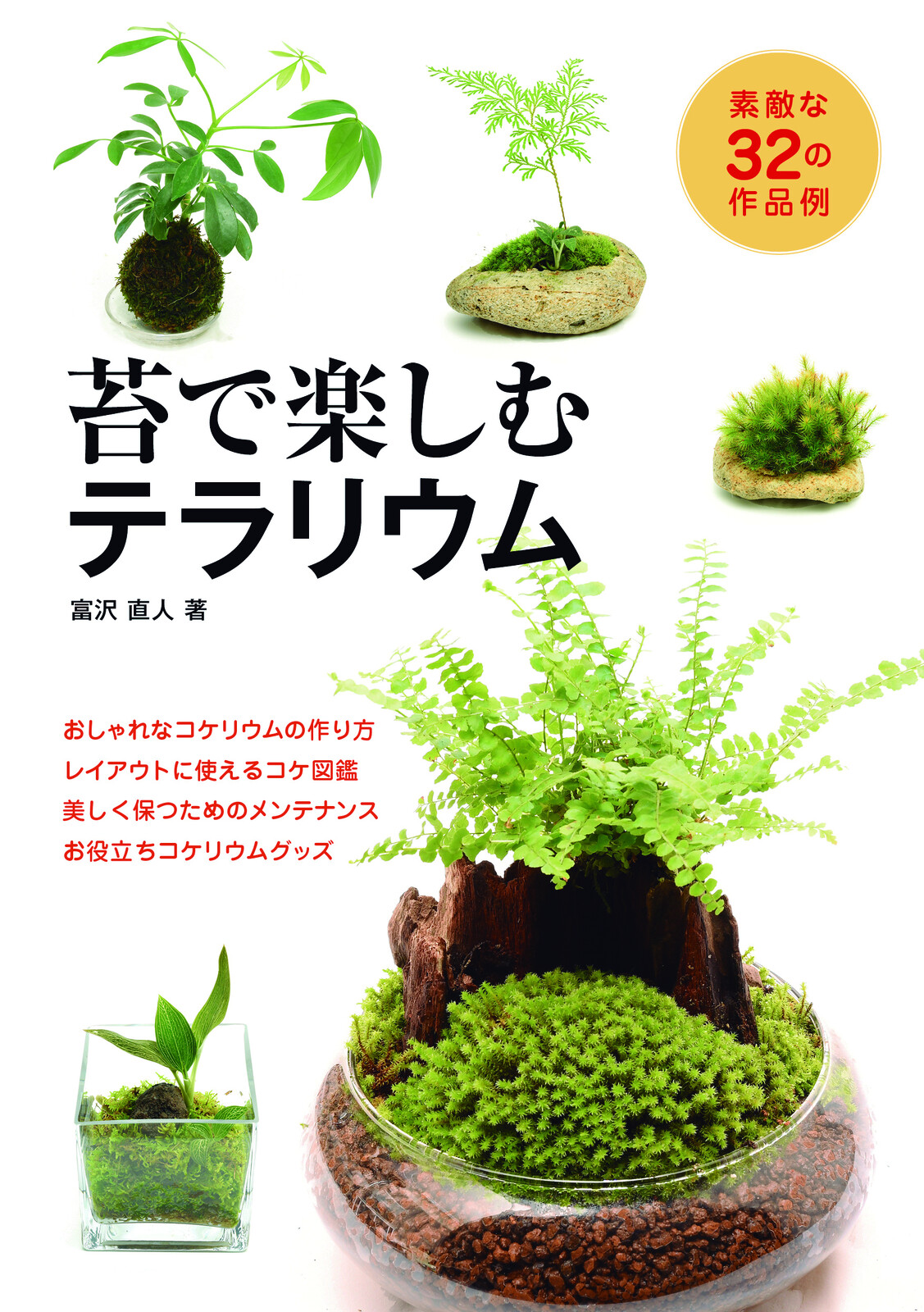 Terrarium To Enjoy With Moss Import Japanese Products At Wholesale Prices Super Delivery