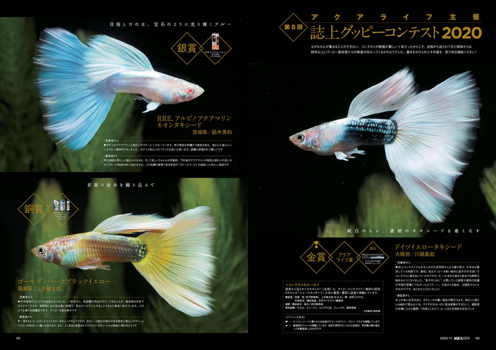 Animal Book Import Japanese Products At Wholesale Prices Super Delivery