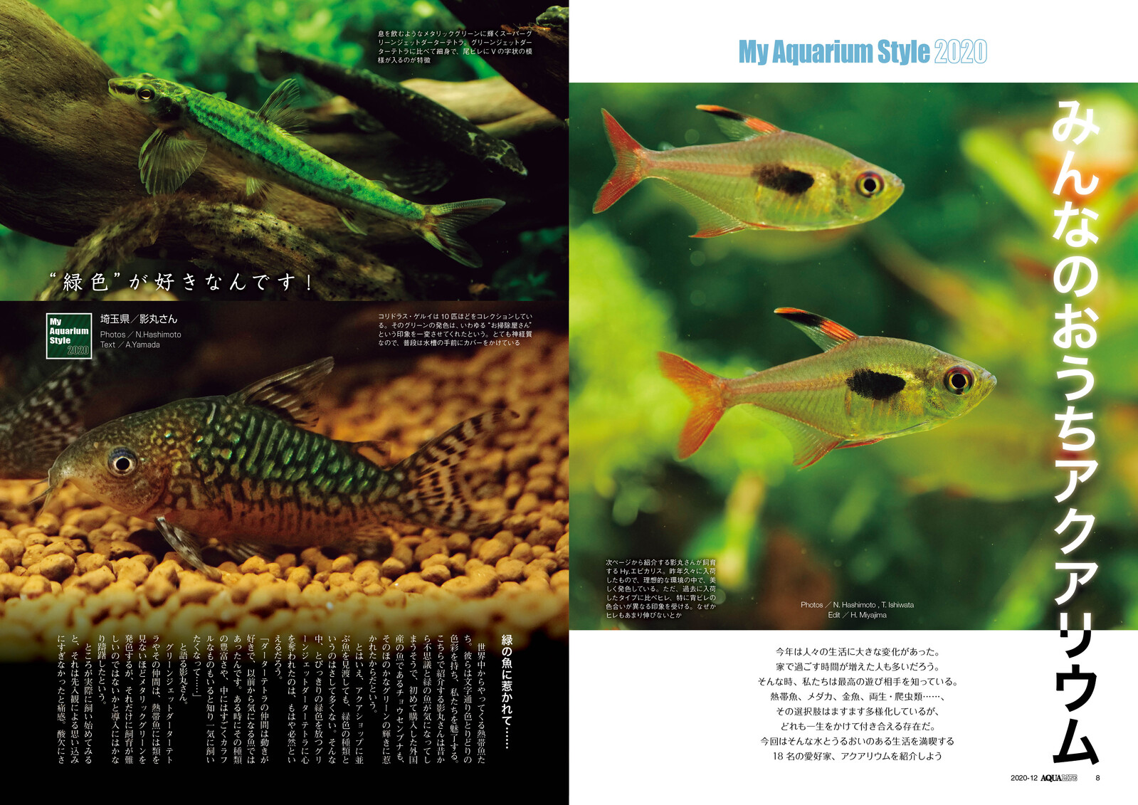 Animal Book Import Japanese Products At Wholesale Prices Super Delivery Animal Book Import Japanese Products At Wholesale Prices Super Delivery