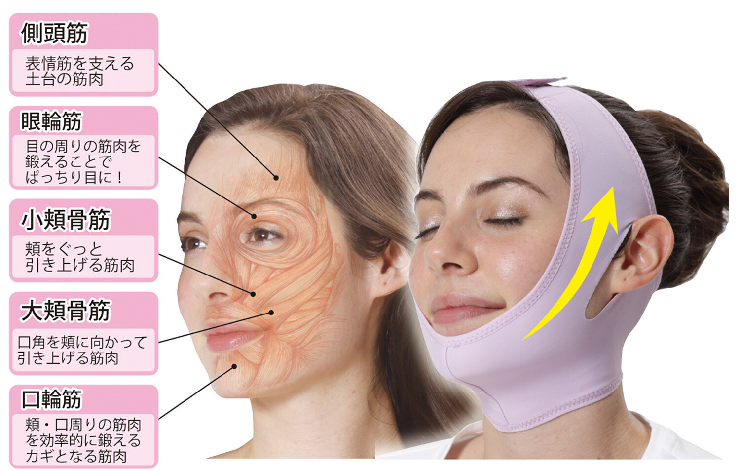 Japan Mask Import Japanese Products At Wholesale Prices Super Delivery Japan Mask Import Japanese Products At Wholesale Prices Super Delivery