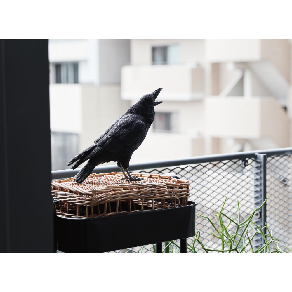 Popular Real Animal Piggy Bank Pet Bank Pet Bank Black Crow Import Japanese Products At Wholesale Prices Super Delivery Popular Real Animal Piggy Bank Pet Bank Pet Bank Black Crow Import Japanese Products At Wholesale Prices Super Delivery