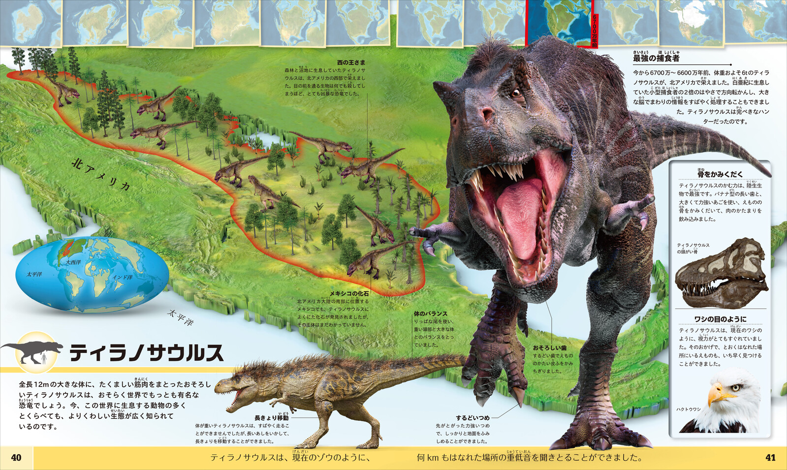 Visual Dictionaries Import Japanese Products At Wholesale Prices Super Delivery