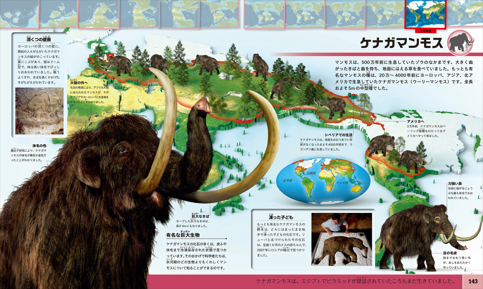 あの恐竜どこにいた 地図で見る恐竜のくらし図鑑の商品ページ 卸 仕入れサイト スーパーデリバリー