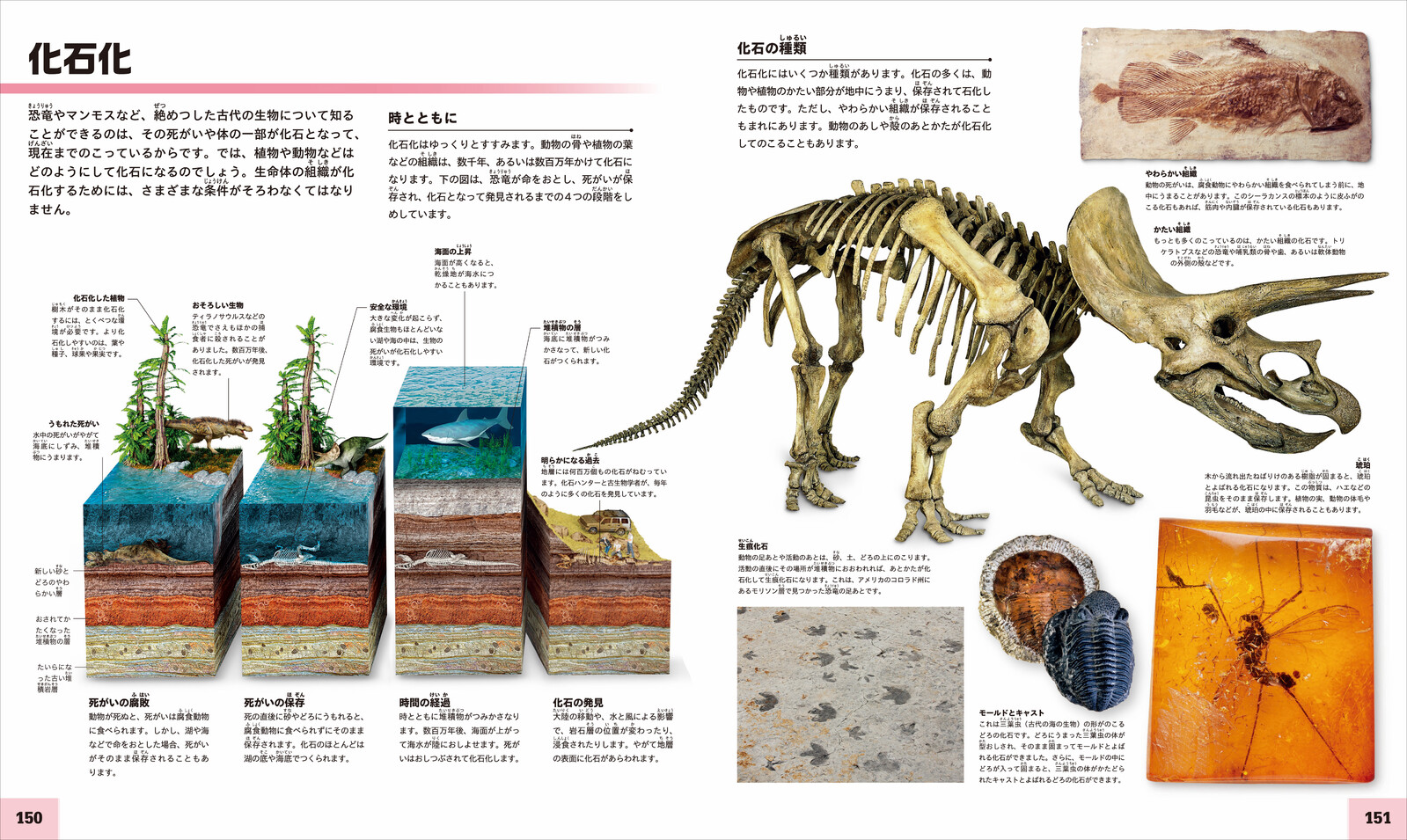 Visual Dictionaries Import Japanese Products At Wholesale Prices Super Delivery