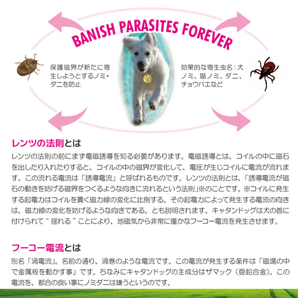New 薬を使わないから安心 ノミ ダニ 予防 Catandog S キャタンドッグ 犬 猫 ペット 安全の商品ページ 卸 仕入れサイト スーパーデリバリー