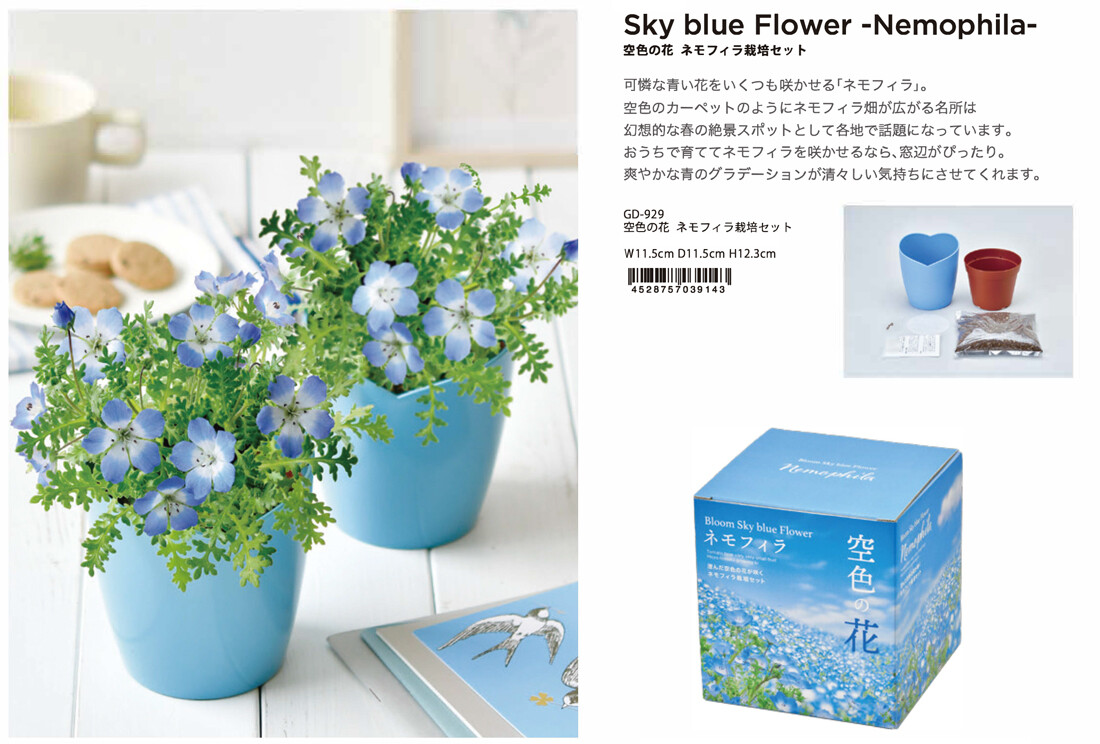 栽培セット 空色の花 ネモフィラの商品ページ 卸 仕入れサイト スーパーデリバリー