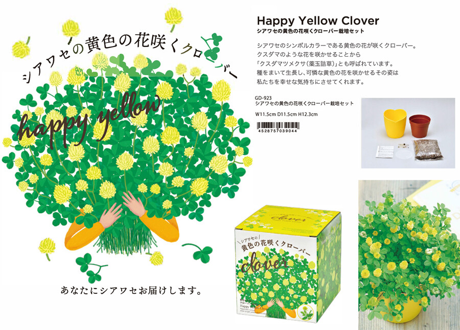 栽培セット シアワセの黄色い花咲くクローバーの商品ページ 卸 仕入れサイト スーパーデリバリー 栽培セット シアワセの黄色い花咲くクローバーの商品ページ 卸 仕入れサイト スーパーデリバリー