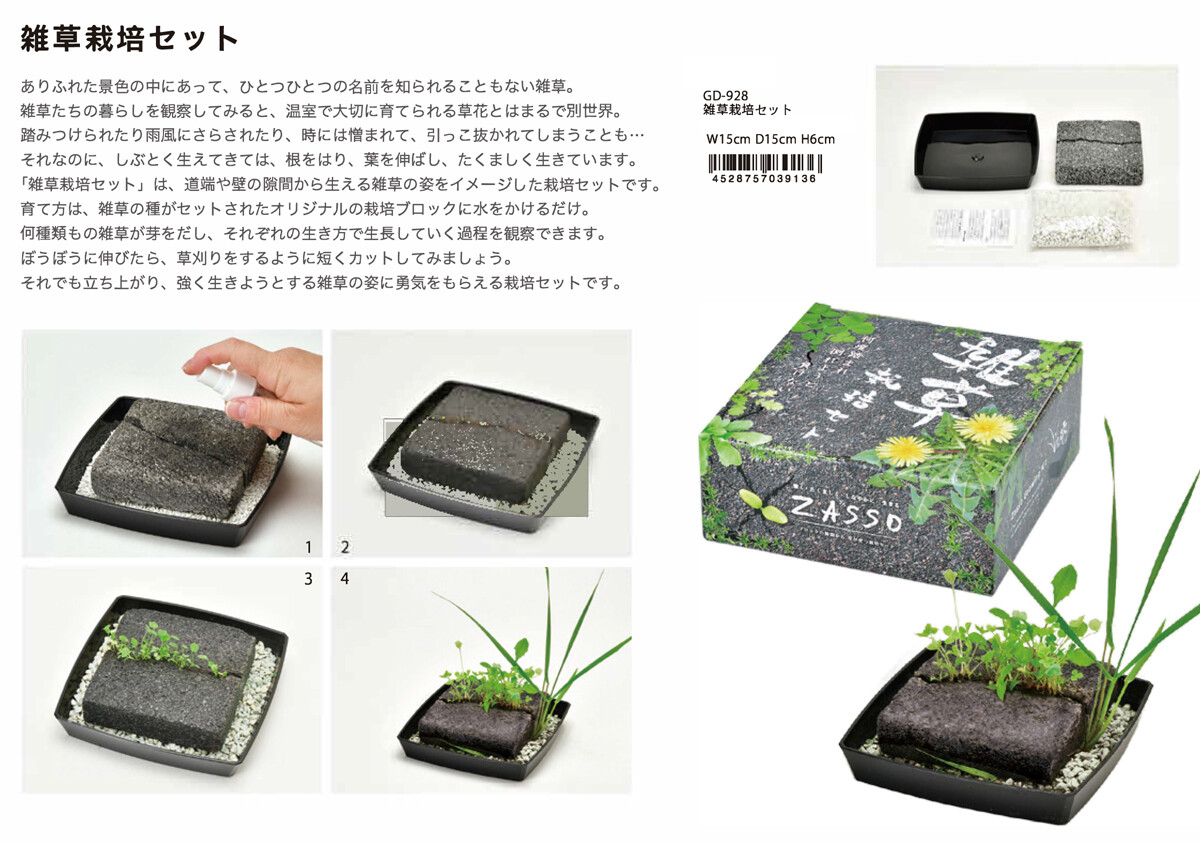 栽培セット 雑草栽培セットの商品ページ 卸 仕入れサイト スーパーデリバリー 栽培セット 雑草栽培セットの商品ページ 卸 仕入れサイト スーパーデリバリー