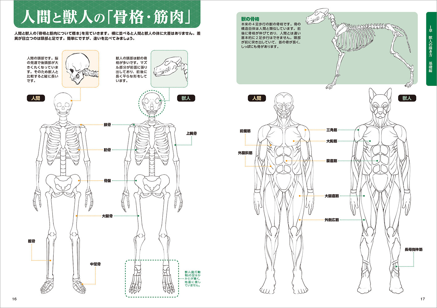 Anime Character Book Import Japanese Products At Wholesale Prices Super Delivery
