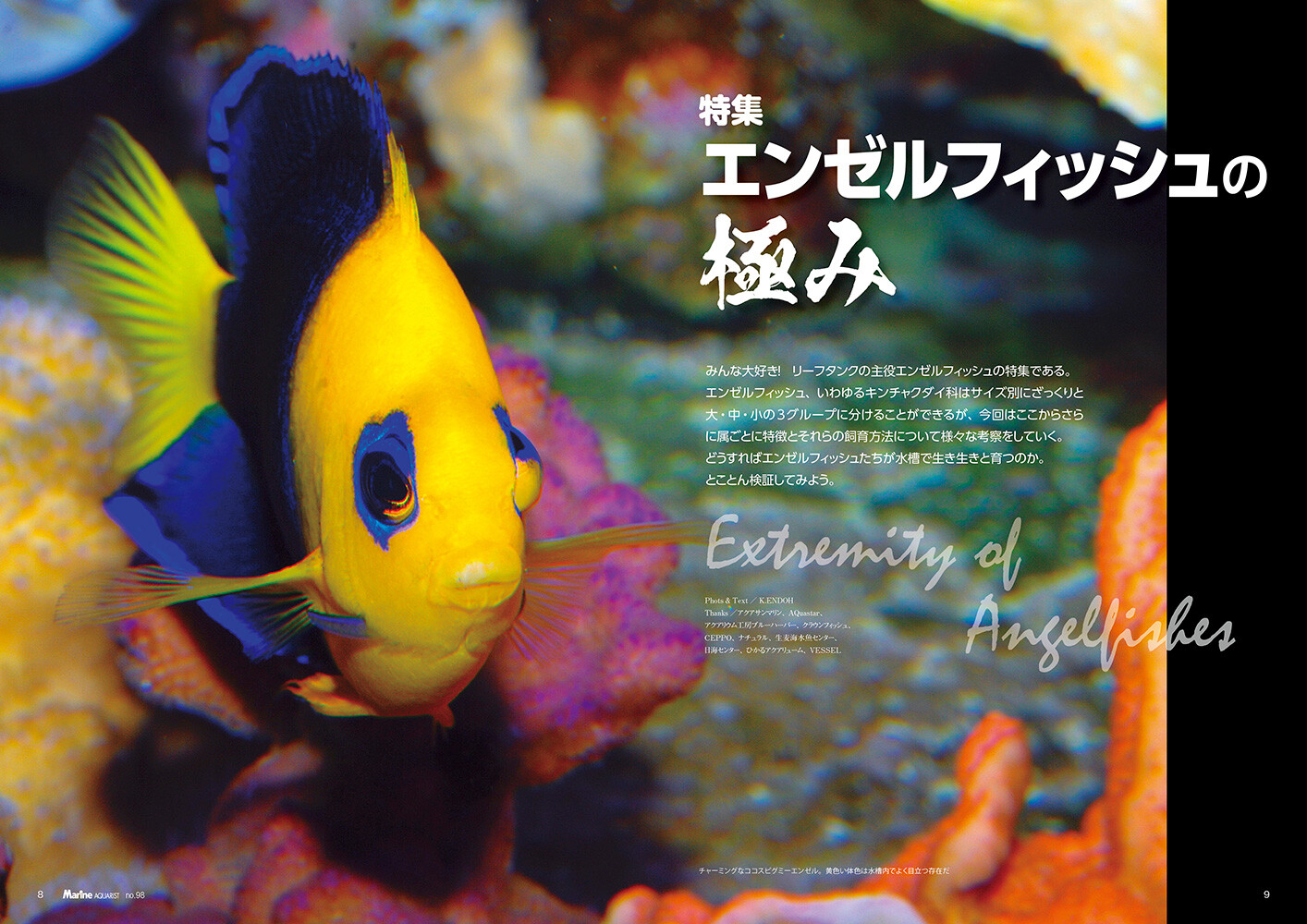 Animal Book Import Japanese Products At Wholesale Prices Super Delivery Animal Book Import Japanese Products At Wholesale Prices Super Delivery