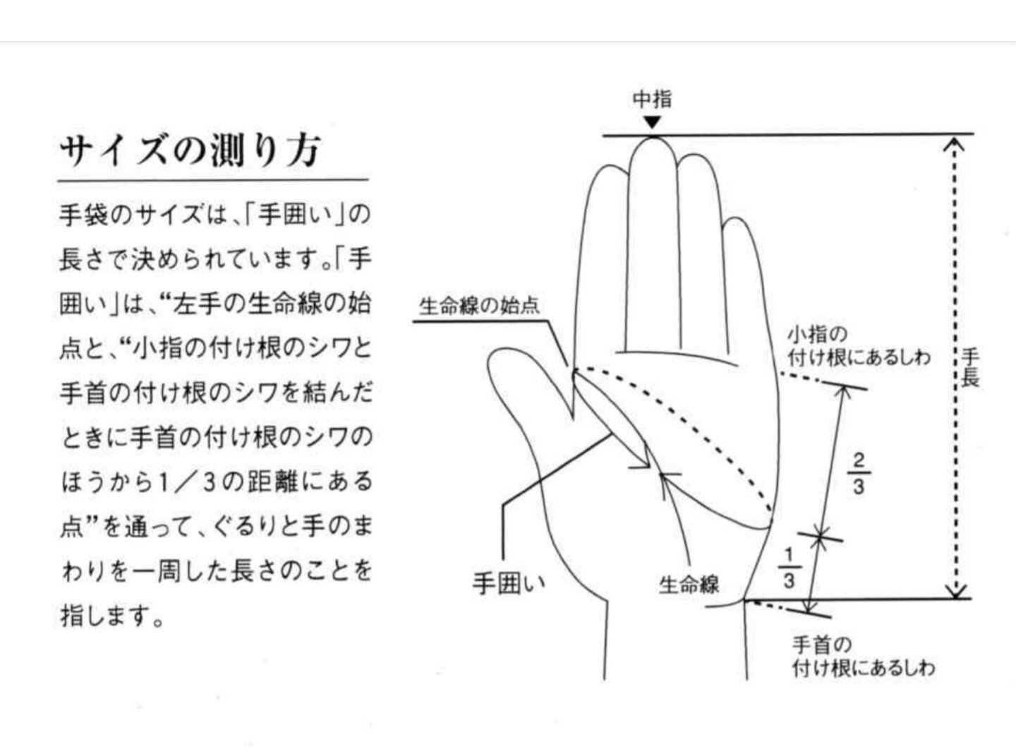 Genuine Leather Sheep Leather Glove Antibacterial Processing Import Japanese Products At Wholesale Prices Super Delivery