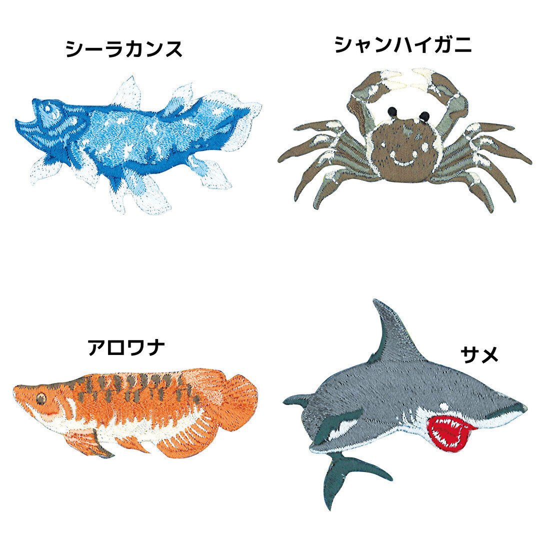 Collection Patch 22 Type Child Import Japanese Products At Wholesale Prices Super Delivery Collection Patch 22 Type Child Import Japanese Products At Wholesale Prices Super Delivery