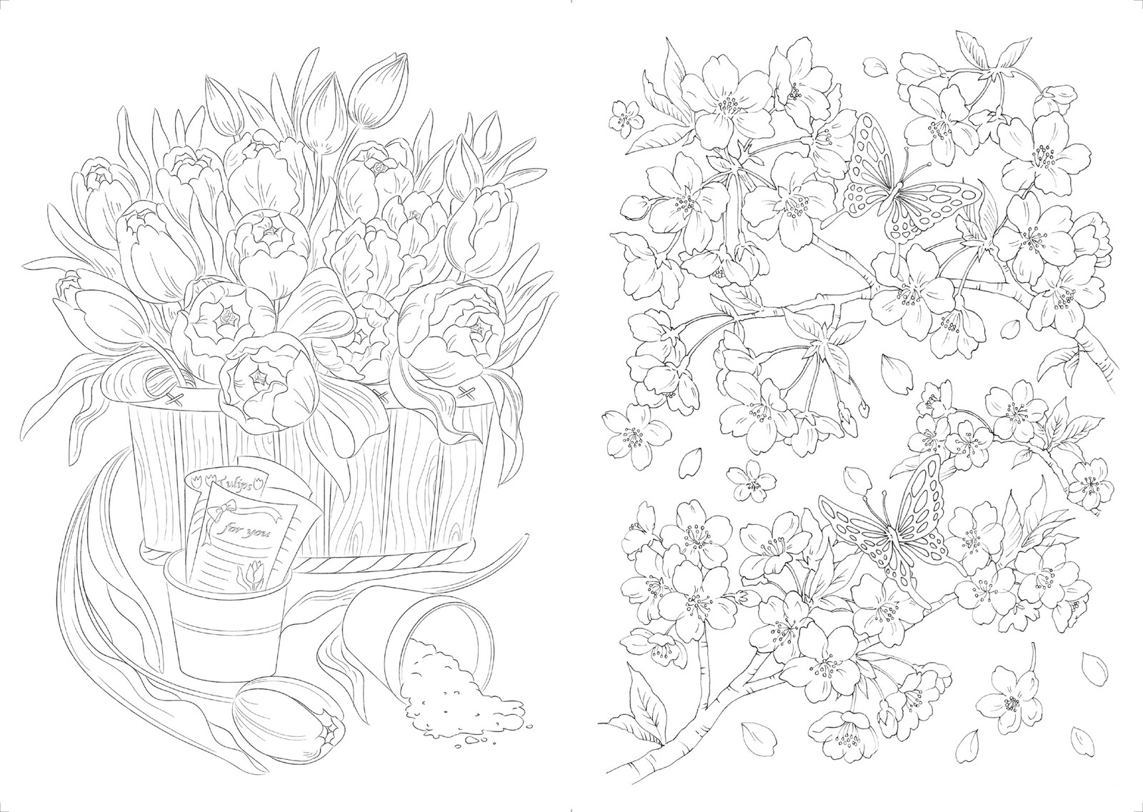 12ヵ月の花々 ぬり絵の商品ページ 卸 仕入れサイト スーパーデリバリー 12ヵ月の花々 ぬり絵の商品ページ 卸 仕入れサイト スーパーデリバリー