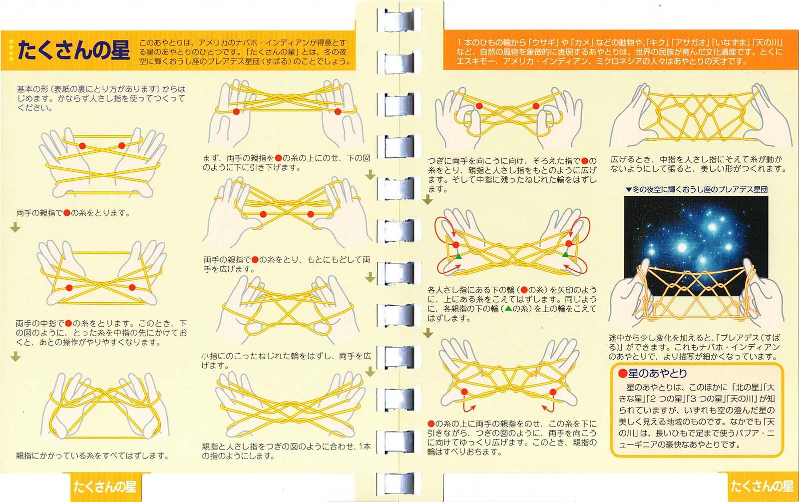あやとり カメ あやとり Ofertadalu Com Br