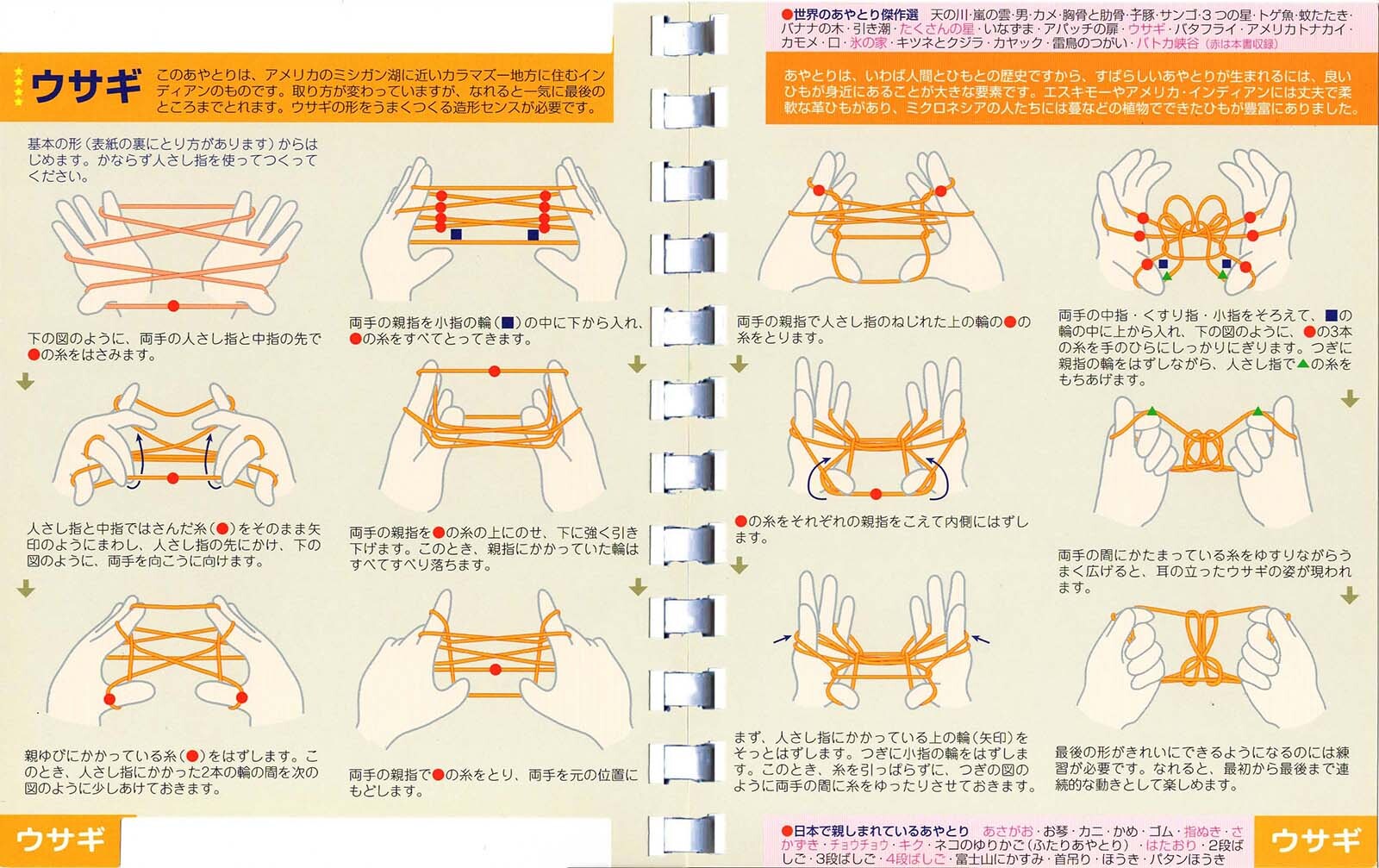 ポケットあやとり図鑑1の商品ページ 卸 仕入れサイト スーパーデリバリー