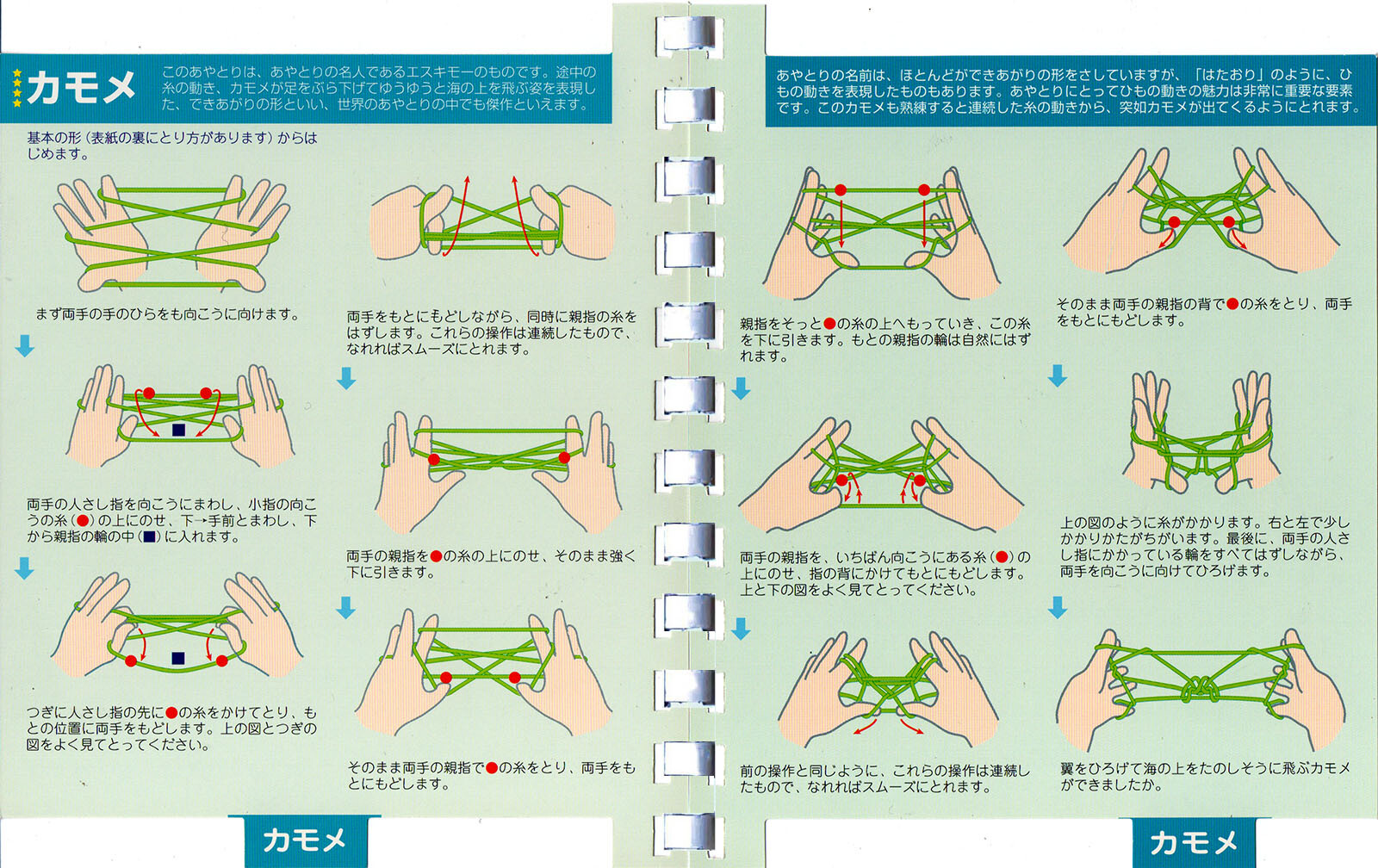 Visual Dictionaries Import Japanese Products At Wholesale Prices Super Delivery Visual Dictionaries Import Japanese Products At Wholesale Prices Super Delivery