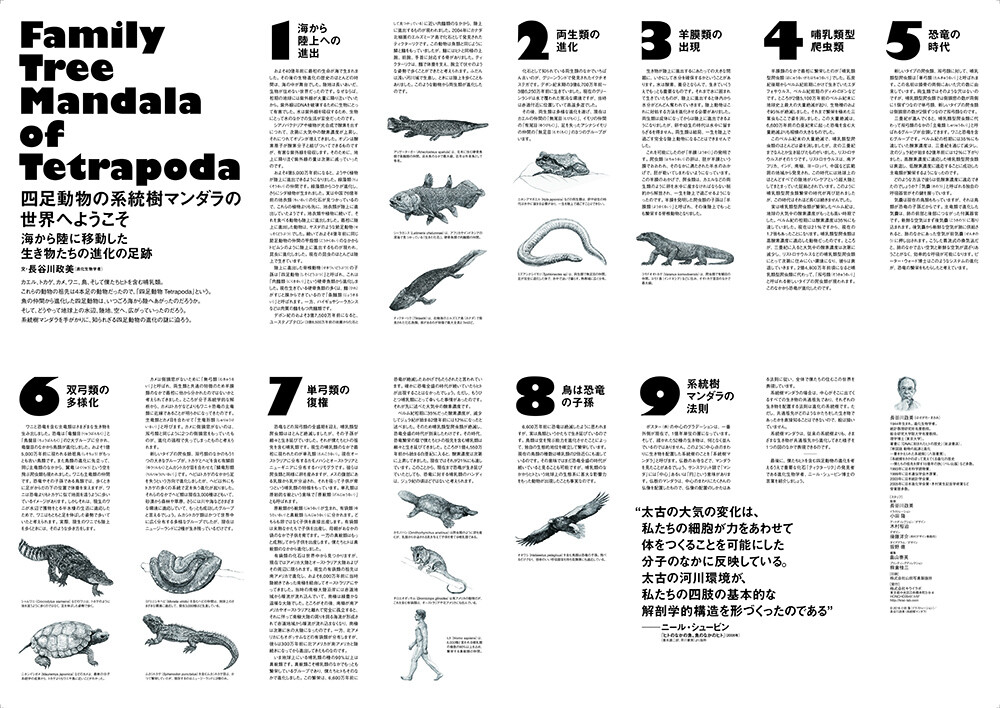 Mandala Poster Animal Type Chemistry Import Japanese Products At Wholesale Prices Super Delivery Mandala Poster Animal Type Chemistry Import Japanese Products At Wholesale Prices Super Delivery